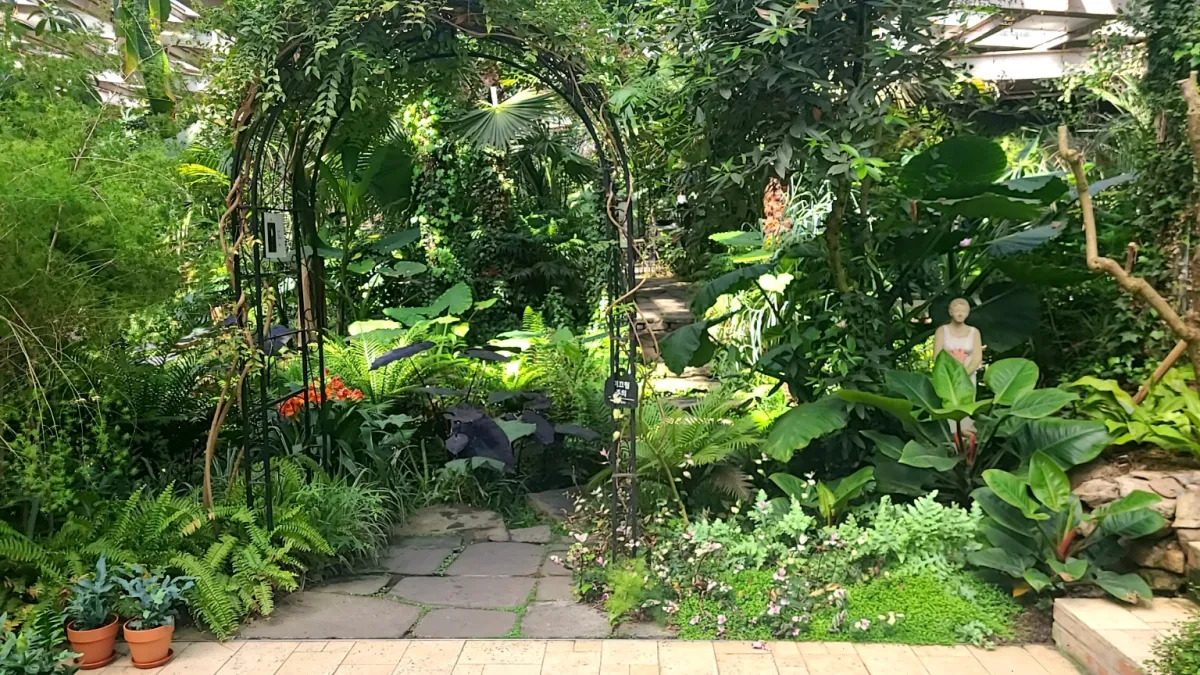 양주오랑주리카페-내부모습-나무와꽃풍경