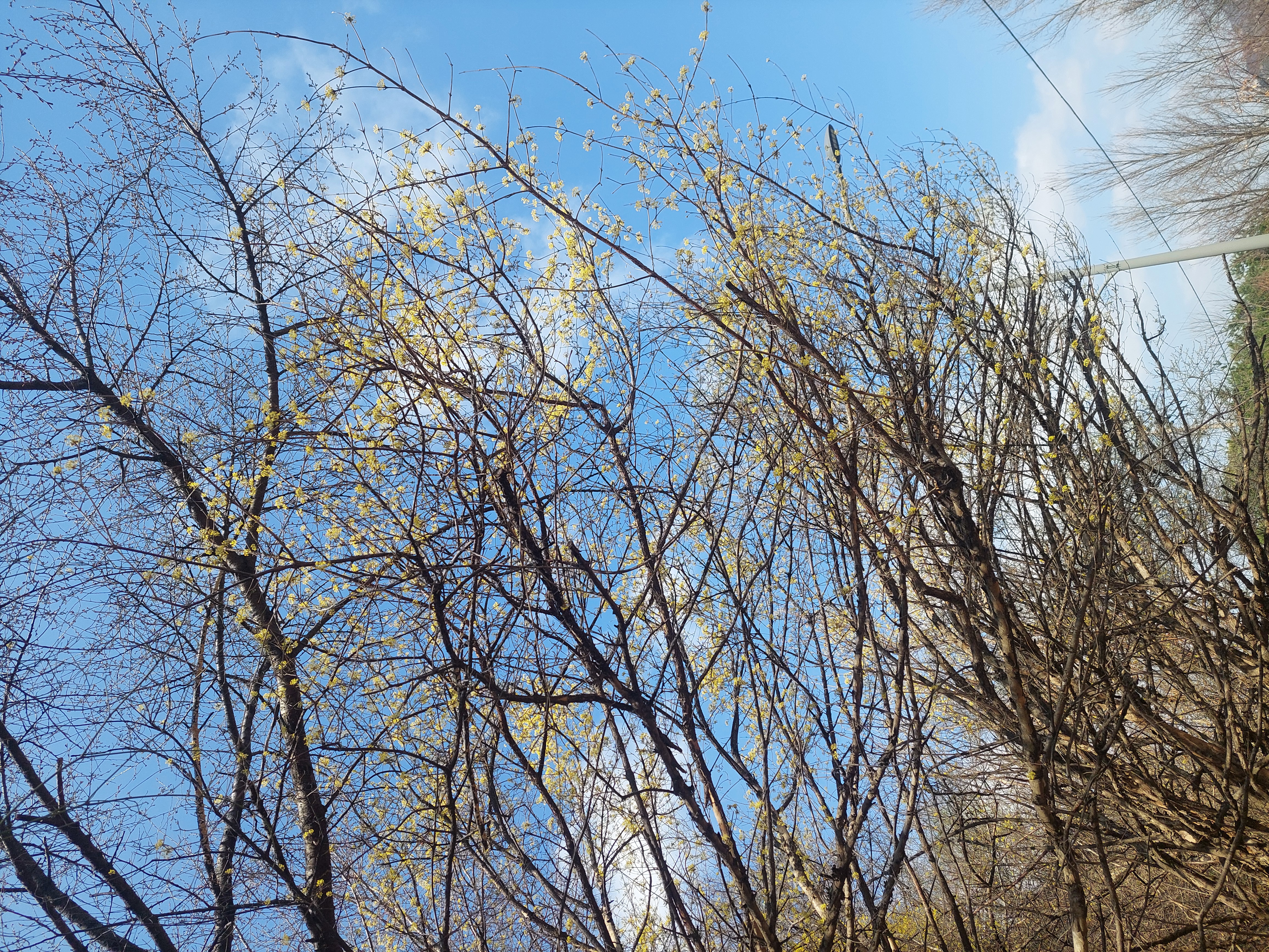 안산