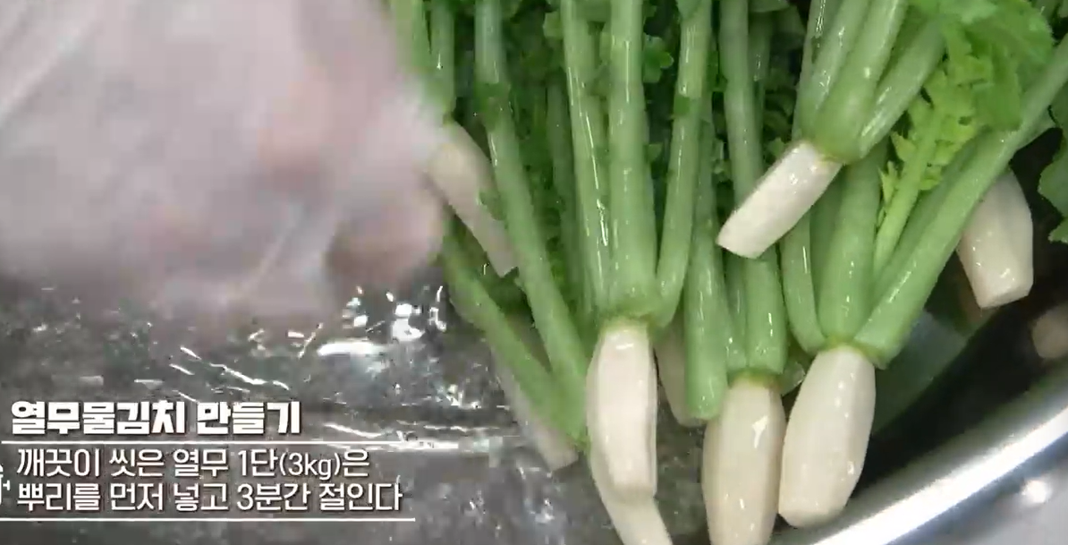 열무물김치담그는법