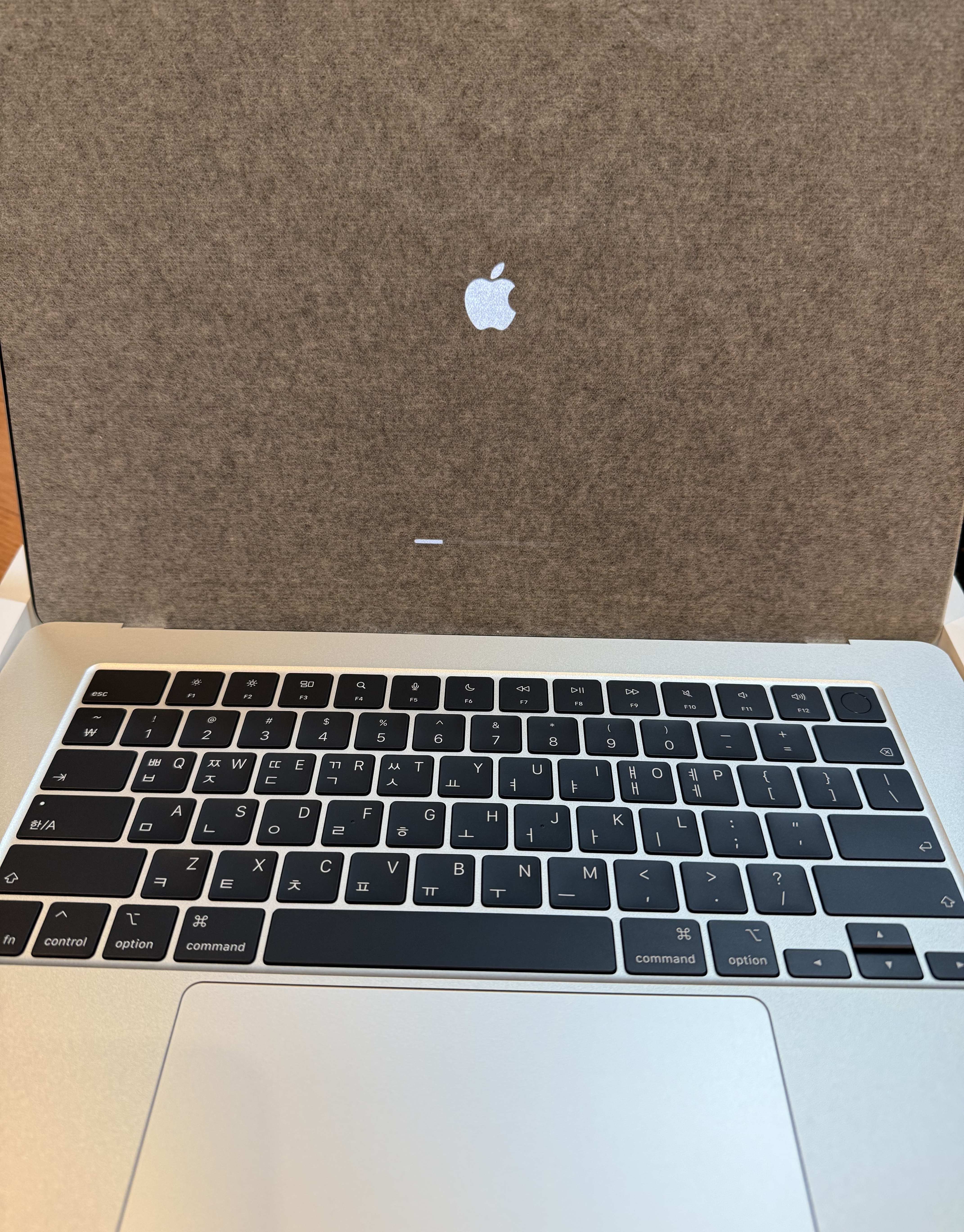 Apple 맥북 에어 15 M4 스타라이트 256GB 16GB 내돈내산 솔직 사용후기 4