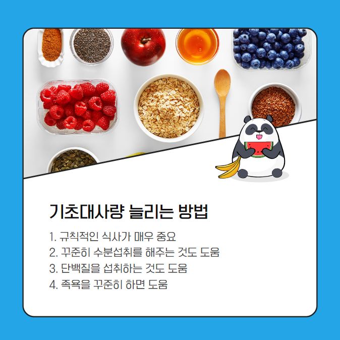 기초대사량 계산기