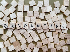 니파바이러스 발생 사례