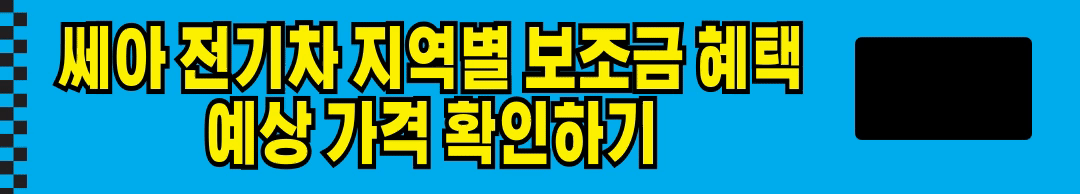 쎄아전기차(쎄아밴) 오너 차량 가격, 구매 절차 알아보기 및 보험 가입시 중요 사항 확인
