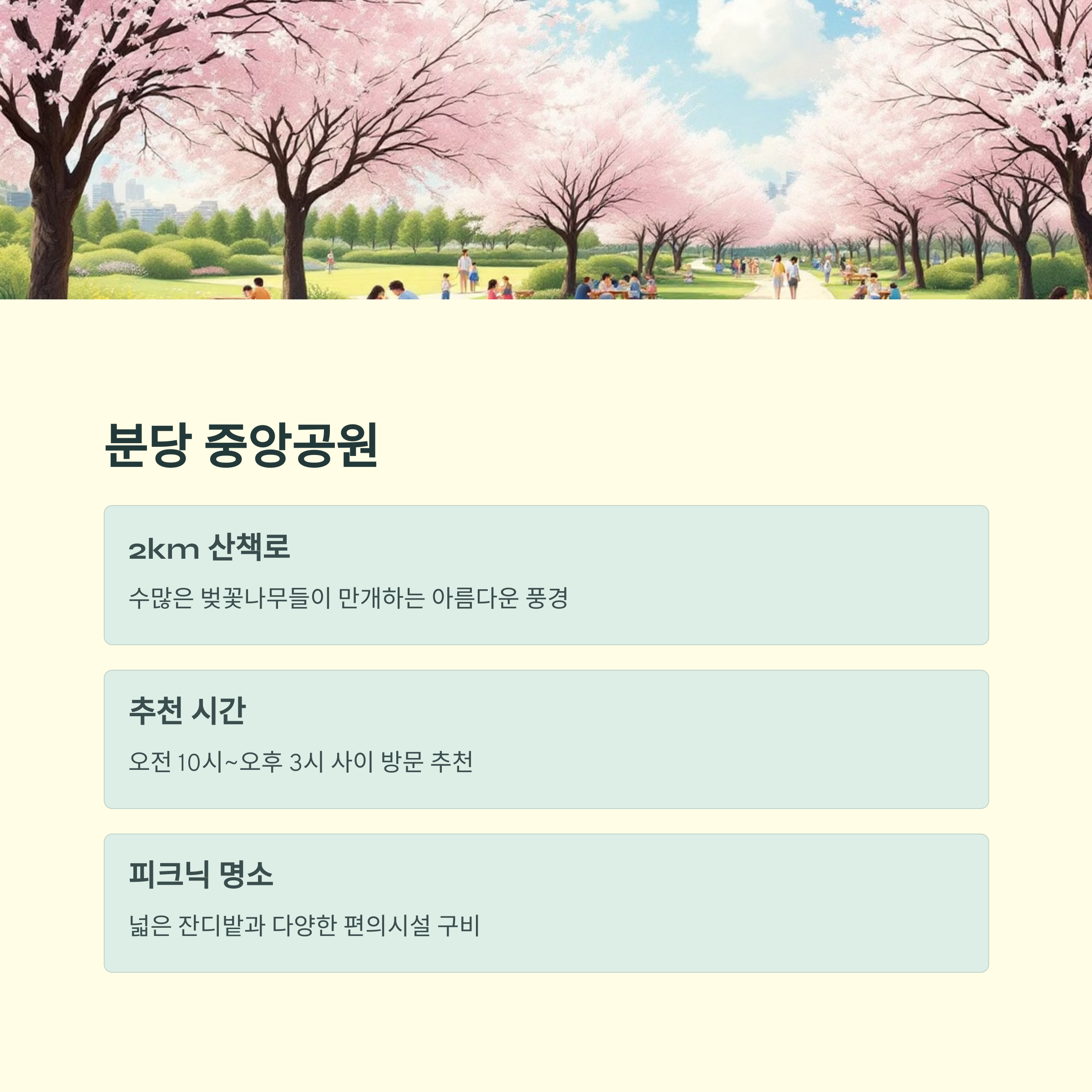 성남 분당의 봄, 벚꽃 명소 걷기 코스 완벽 추천!