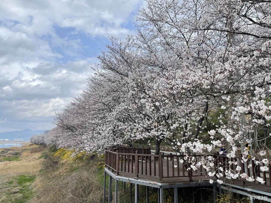 구례 가볼만한곳 베스트 10