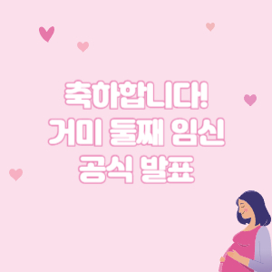 거미둘째임신발표
