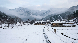 2026년 공익직불금 신청 자격부터 방법까지 완벽 정리