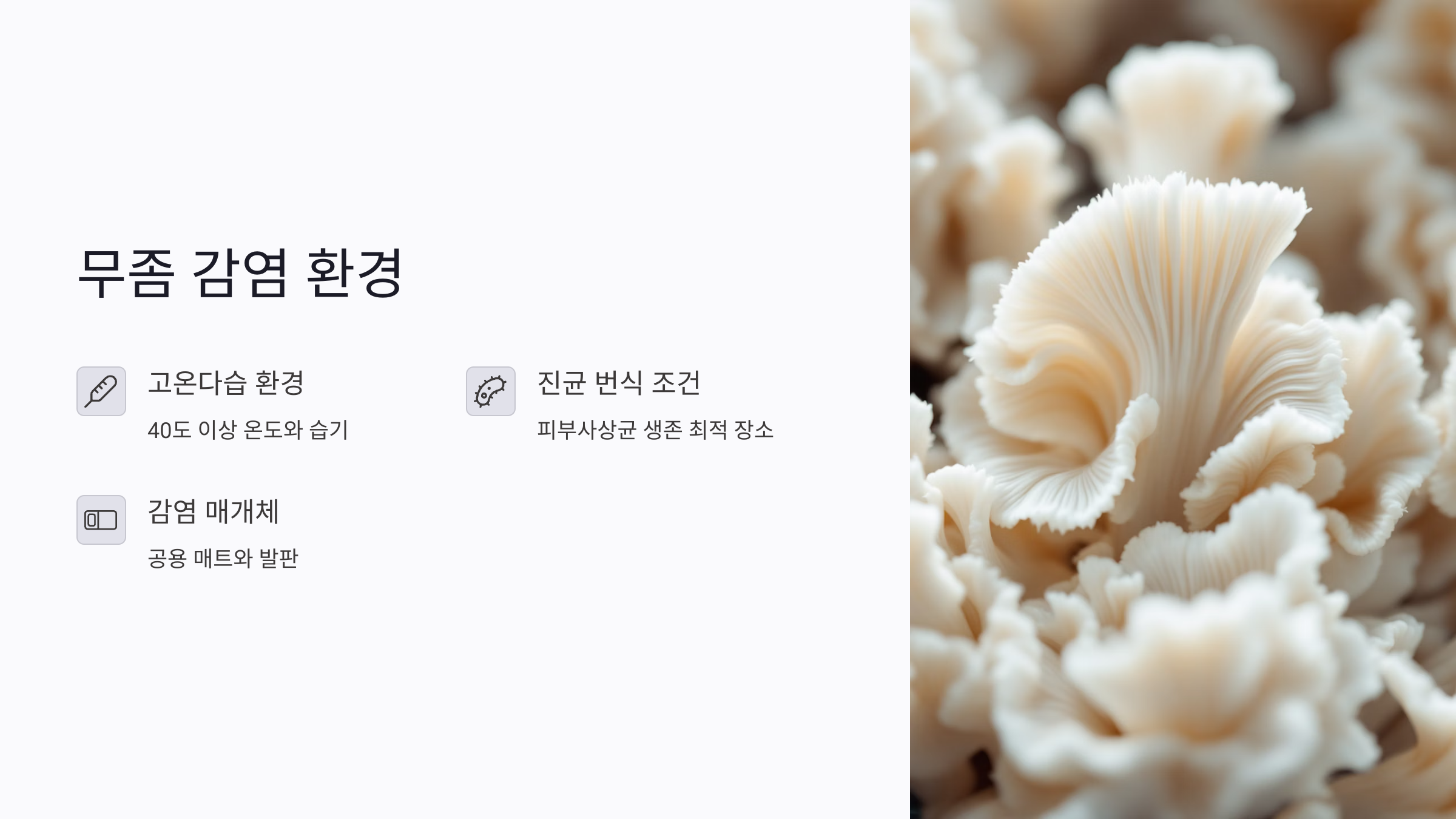 공중목욕탕 이용 후 무좀 예방을 위한 세정법