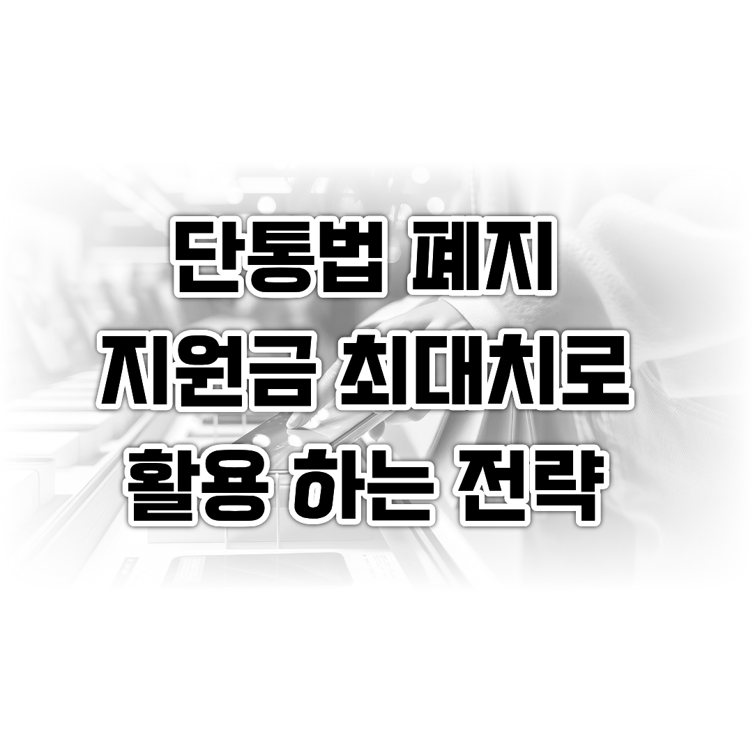 단통법 폐지 지원금 최대치로 활용 하는 전략