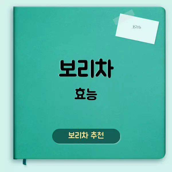 보리차 효능