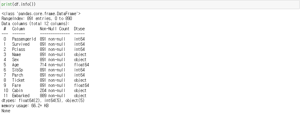 데이터프레임 info 메서드 결과