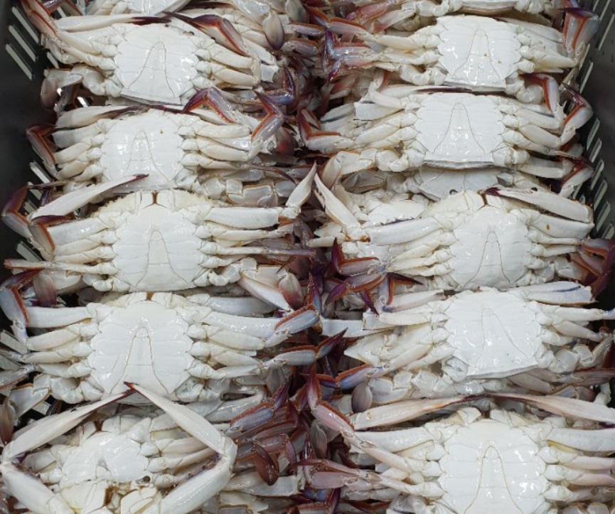 6시내고향-꽃게-게장-부안-식도락상점