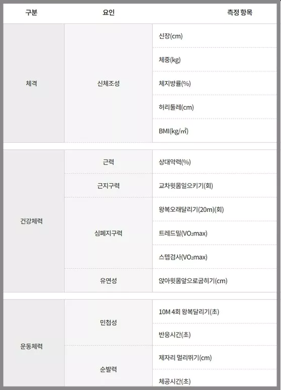 체력측정종목표