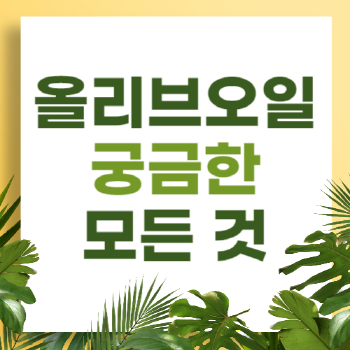 올리브 오일에 대해 궁금한 모든 것