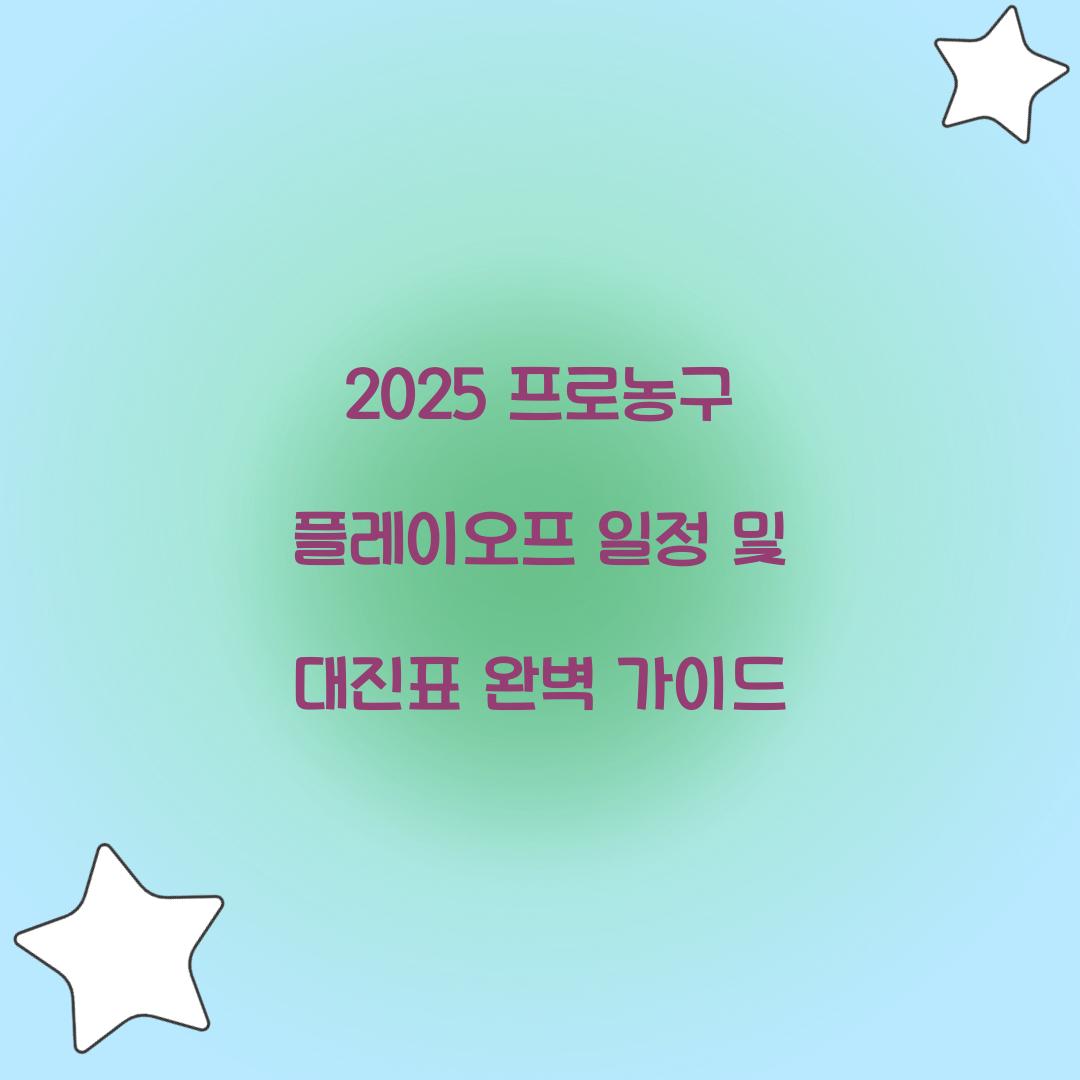 2025 프로농구 플레이오프 일정