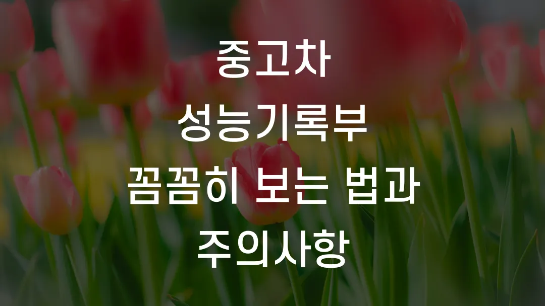 중고차 성능기록부 꼼꼼히 보는 법과 주의사항