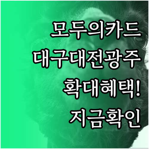 지역 복지 모두의카드 대구 대전 광주..