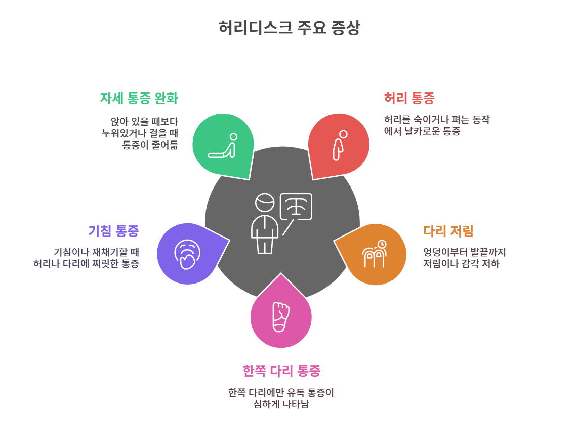 허리디스크 주요 증상 체크