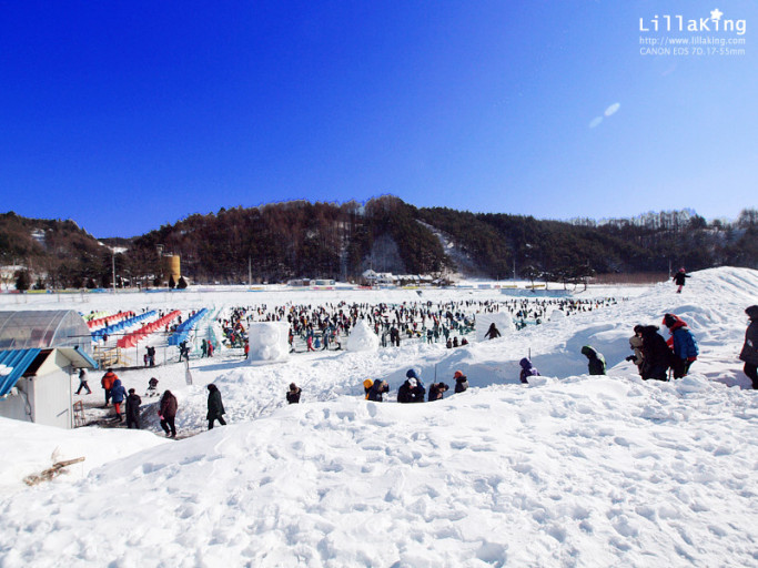 2025 평창송어축제 완벽 가이드: 예약, 낚시 정보 & 주차 안내
