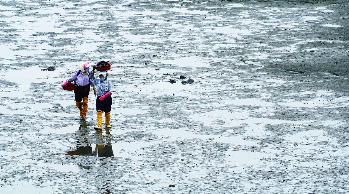 자연학습 겸한 서천 여름 바캉스 추천