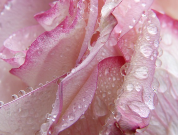 바세린 얼굴에 바르면 생기는 부작용 살펴보기 1