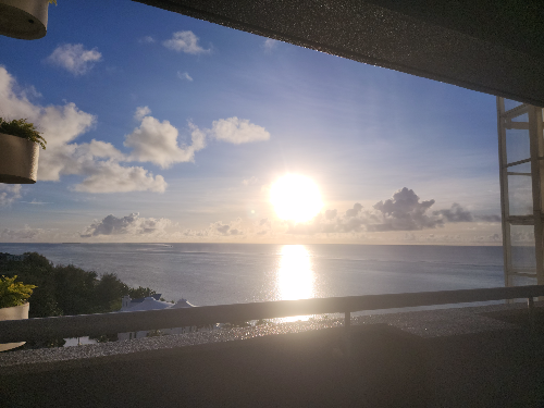 평영 접영 배영 차이 한눈에 정리