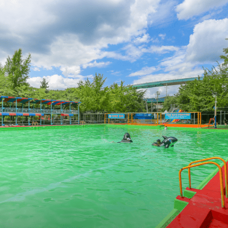 경기-취사가능-수영장