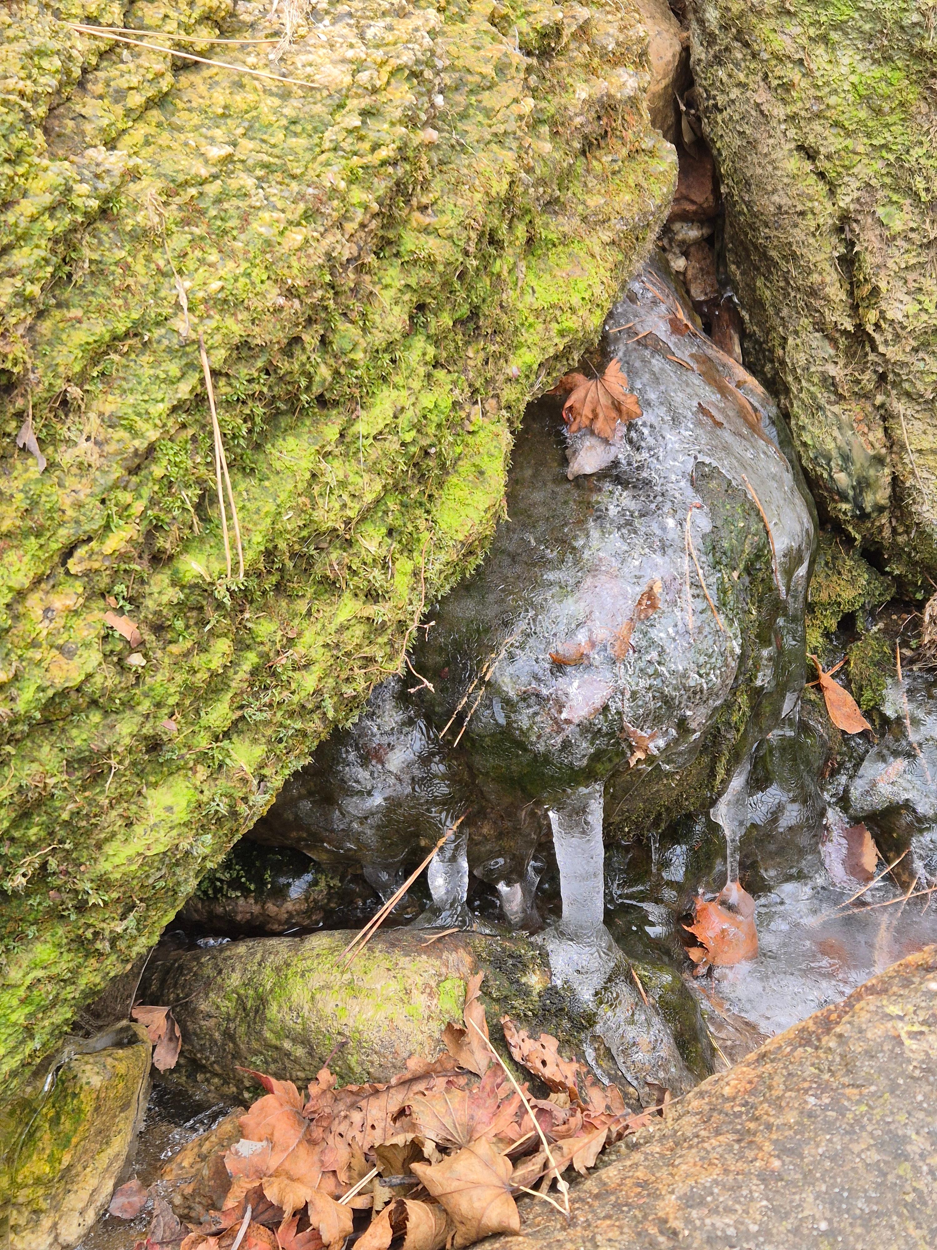 하루재 가는 길