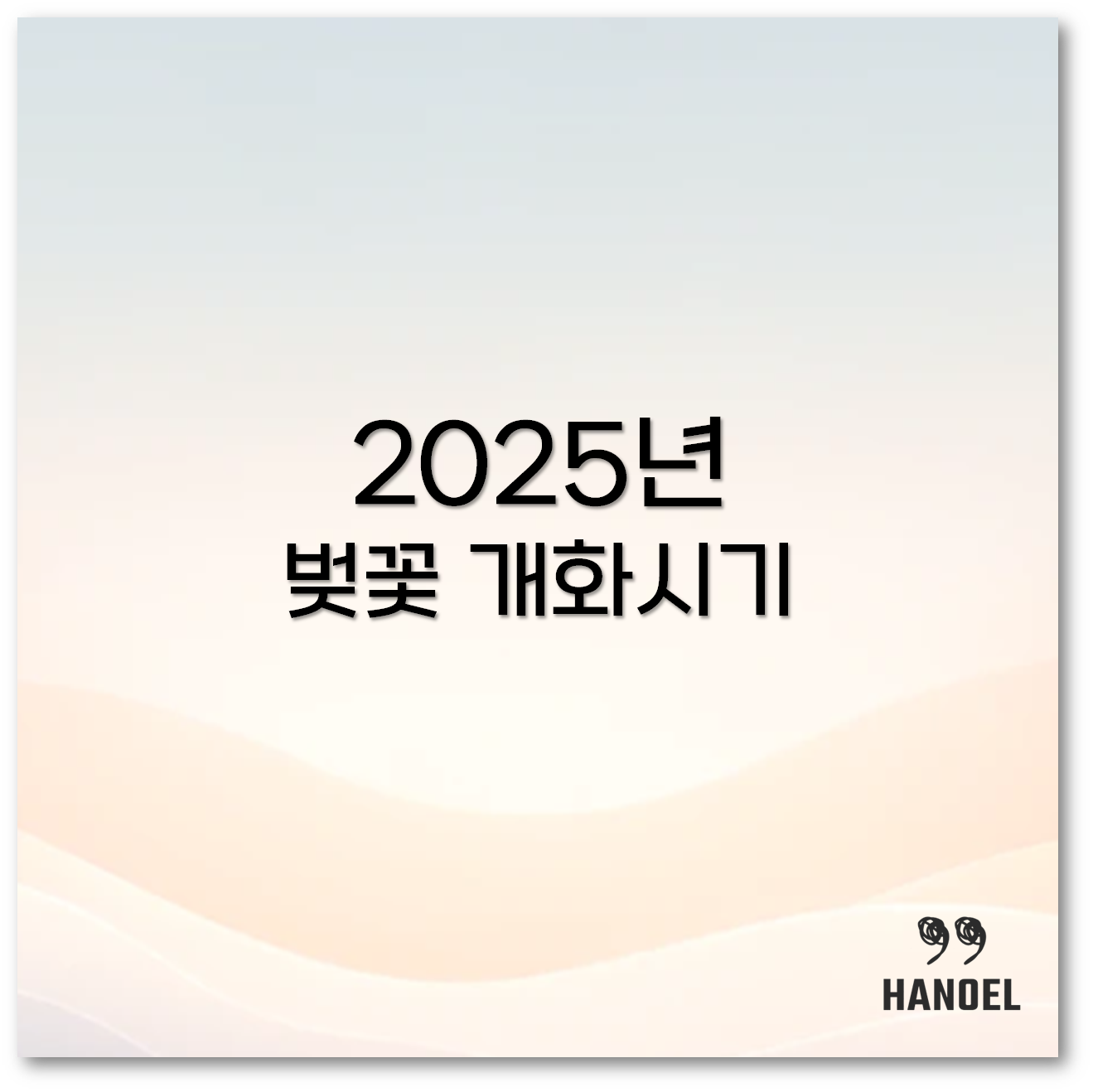 벚꽃 개화시기