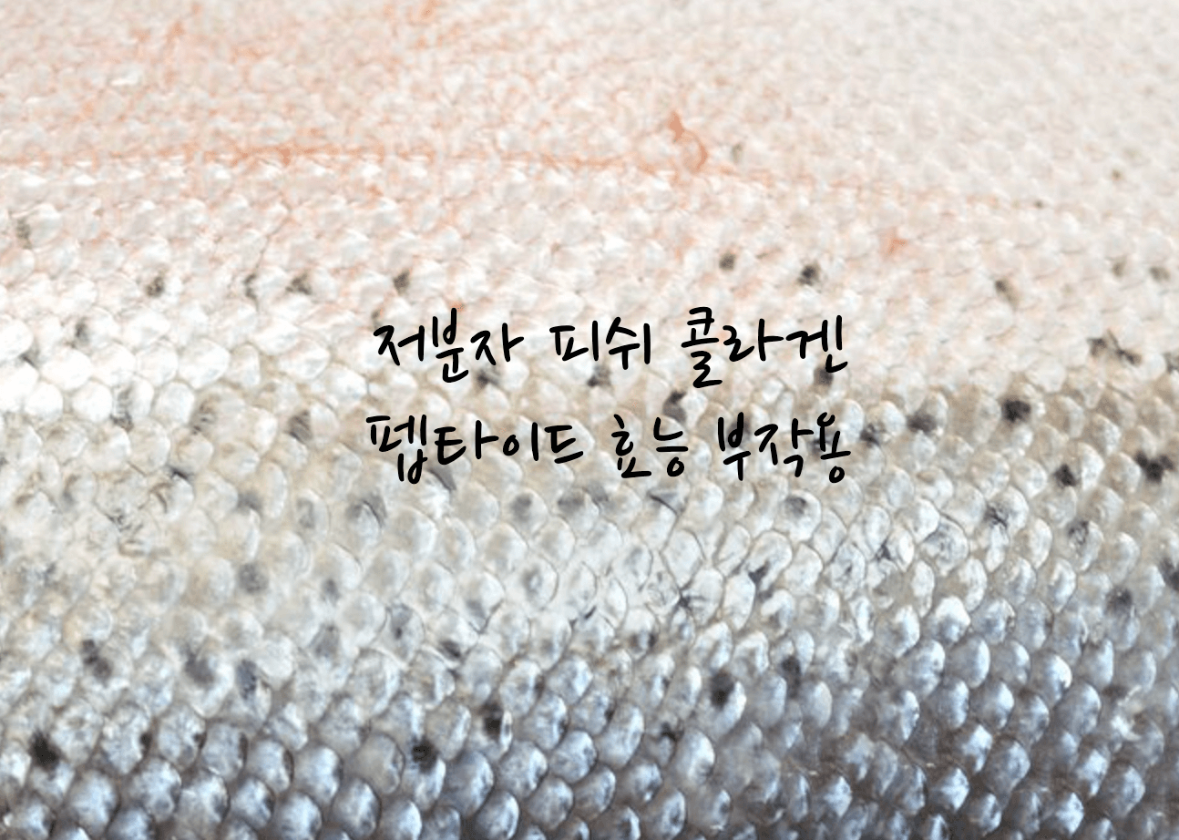 저분자 피쉬 콜라겐