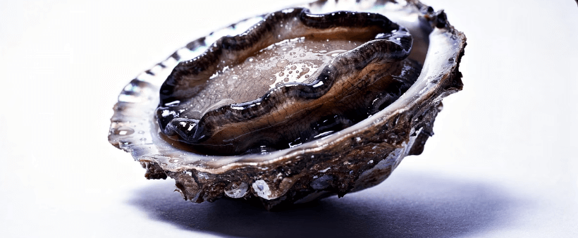 전복 손질하는법