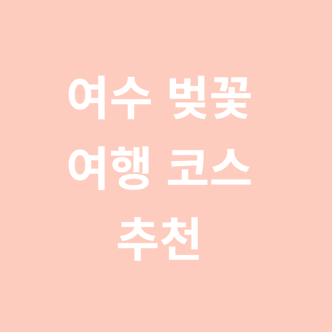 여수-벚꽃-여행-코스-추천-관련-사진