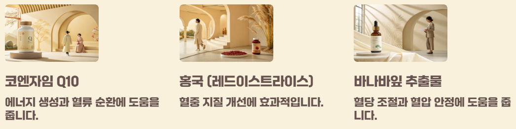 식후 저혈압 원인 증상