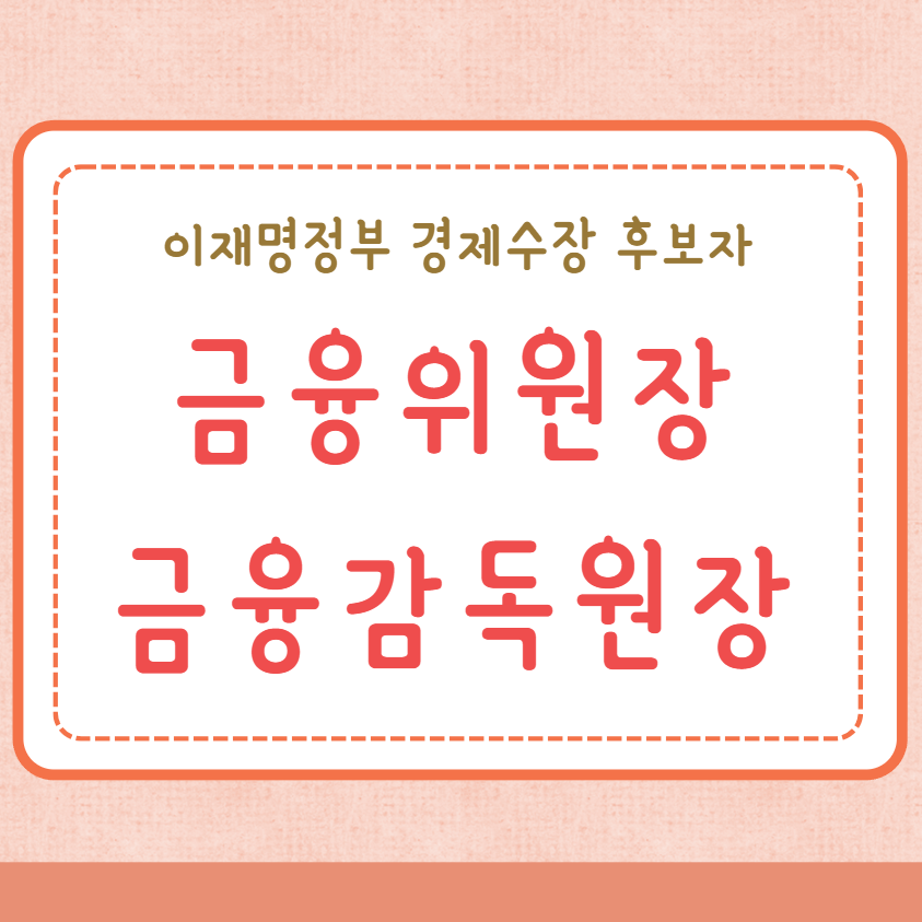 이재명정부 금융위원장 금융감독원장