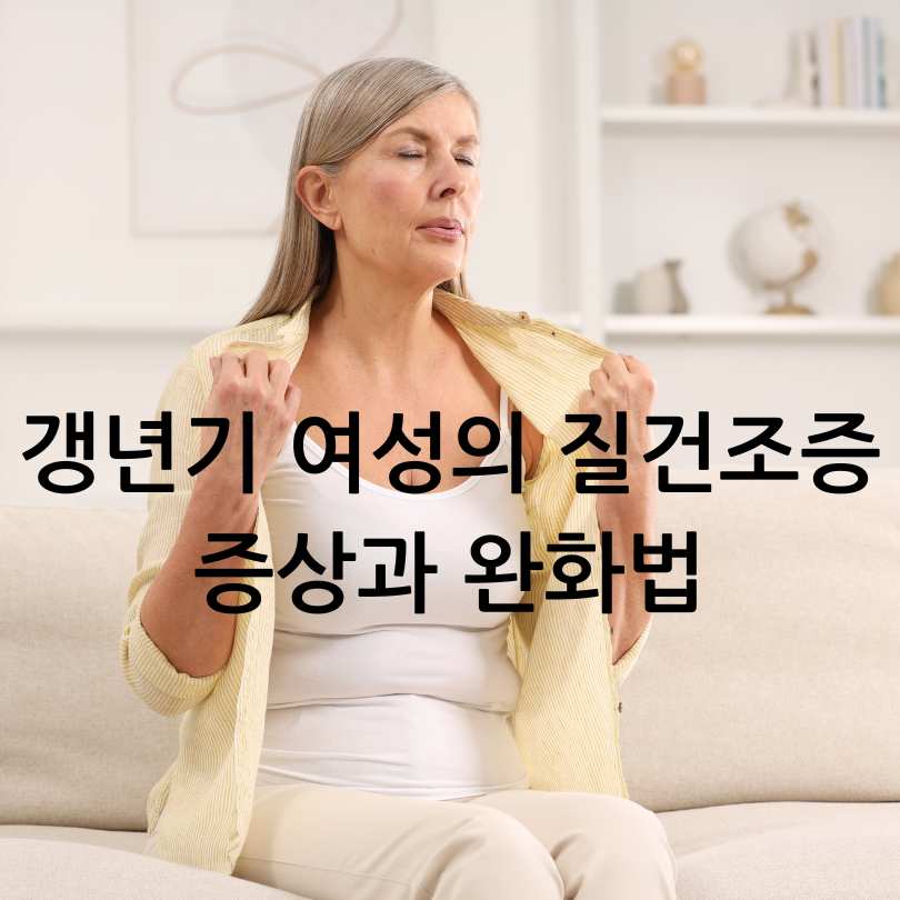갱년기 여성의 질건조증