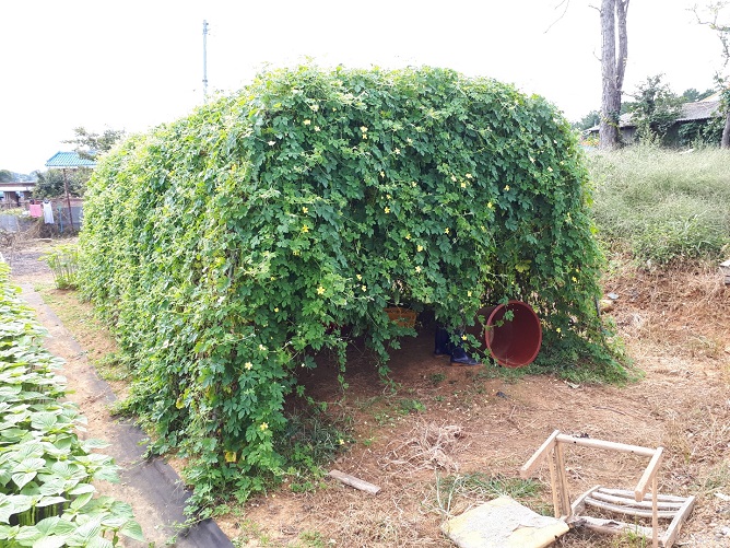 여주