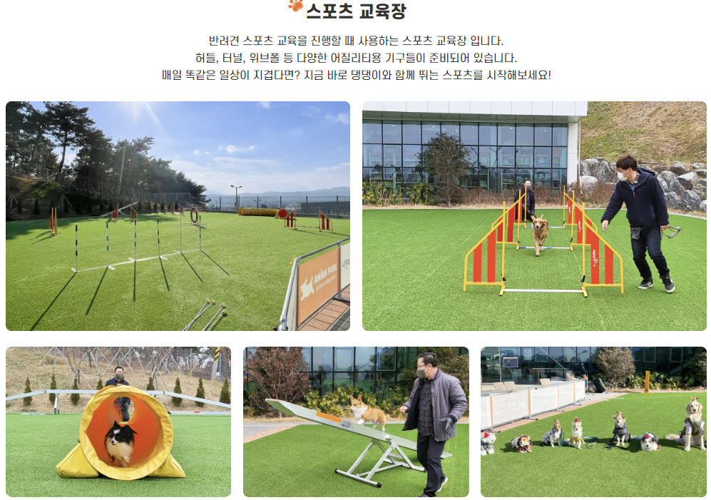 울산 애니언파크