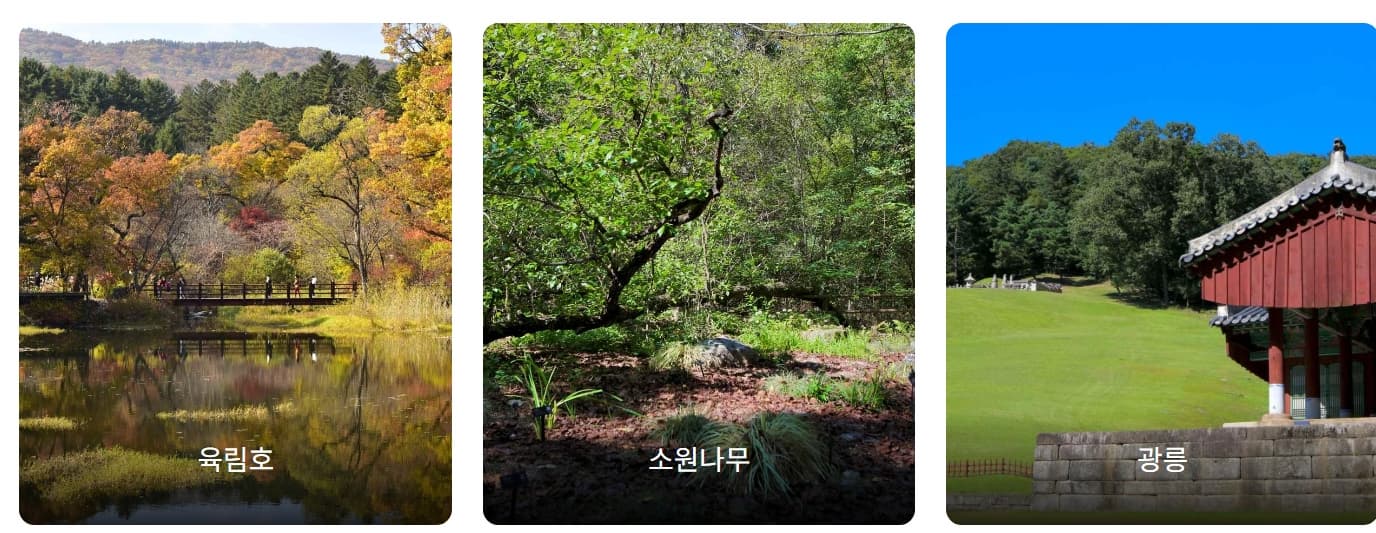 [반려견 동반 여행지, 서울 근교]포천 국립수목원 반려견과의 숲속 산책, 여기가 진짜 힐링이다