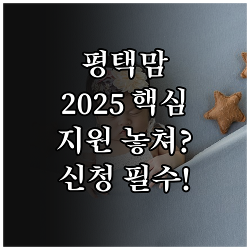 평택시 산모신생아 건강관리 서비스 2..