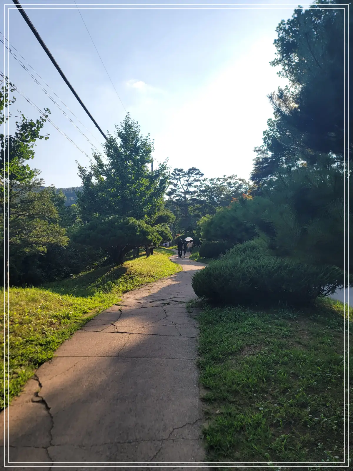 봉선사-연꽃축제-20250810_172855