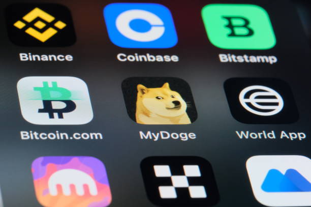 비트코인 대체 투자