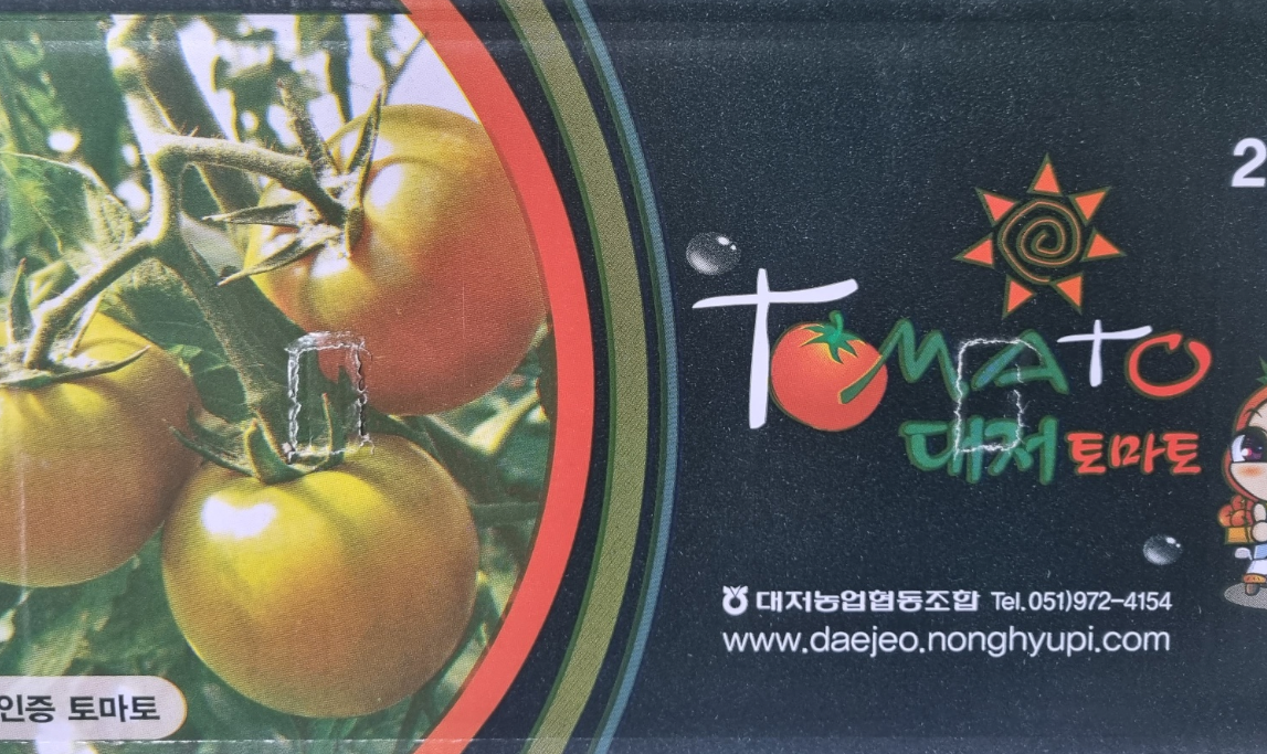 짭짤이 토마토