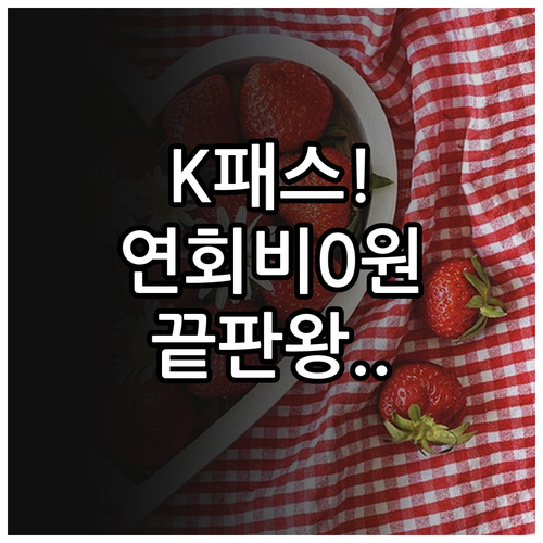 연회비 없는 K패스 체크카드 추천 및..