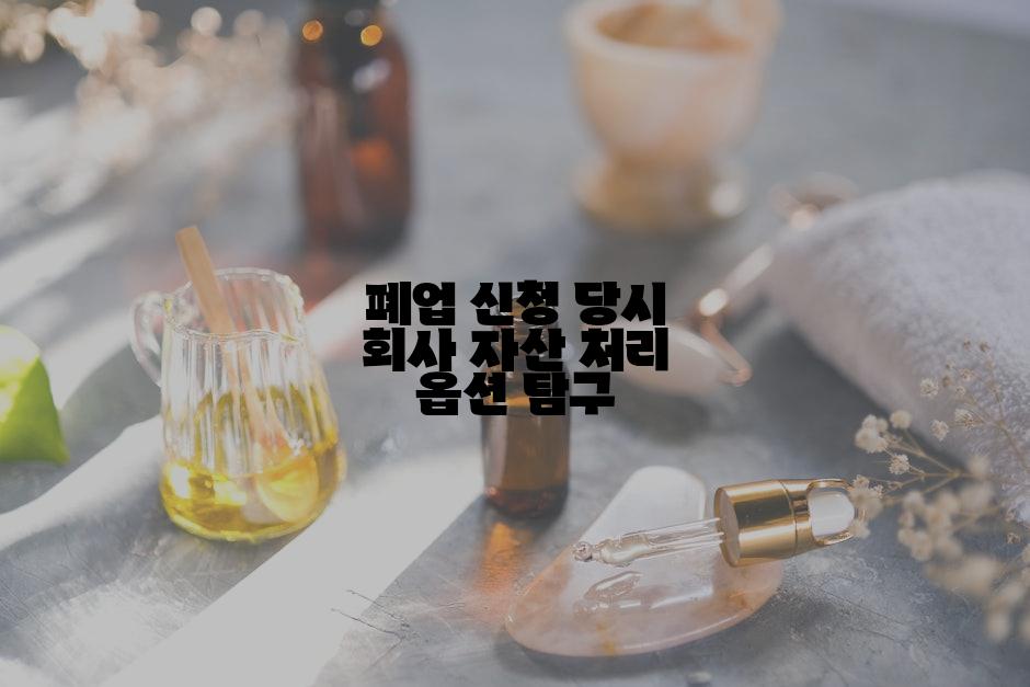 폐업 신청 당시 회사 자산 처리 옵션 탐구