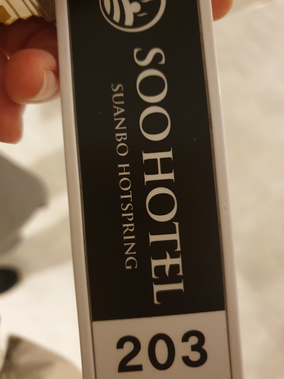 수안보 수호텔 수안보 리몬스온천호텔