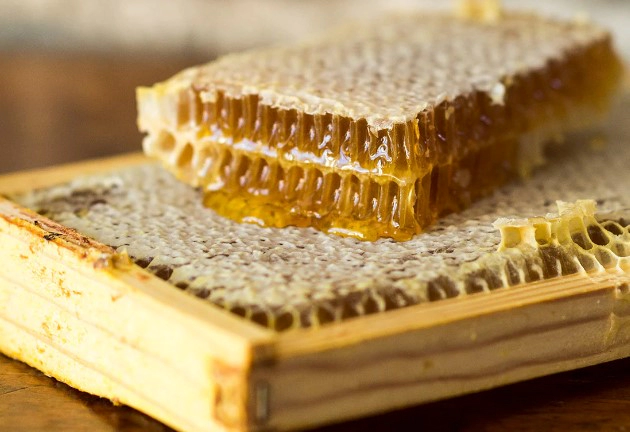 프로폴리스 부작용