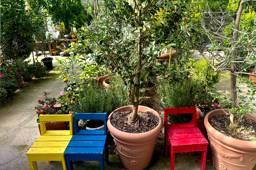 특색있고 아름다운 민간 정원 30선 추천 여행 - 29. 울주 온실리움