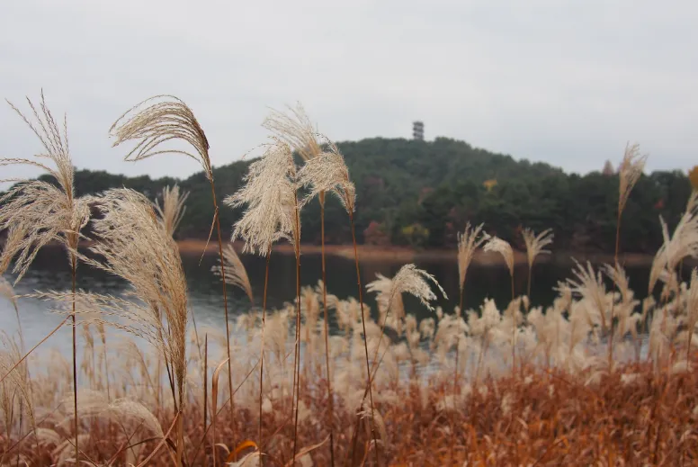 청남대-예약접수