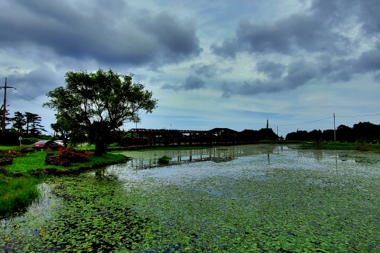5월 제주도 2박3일 일정 스쿠터 여행코스 - 남생이못과 닭머르해안길