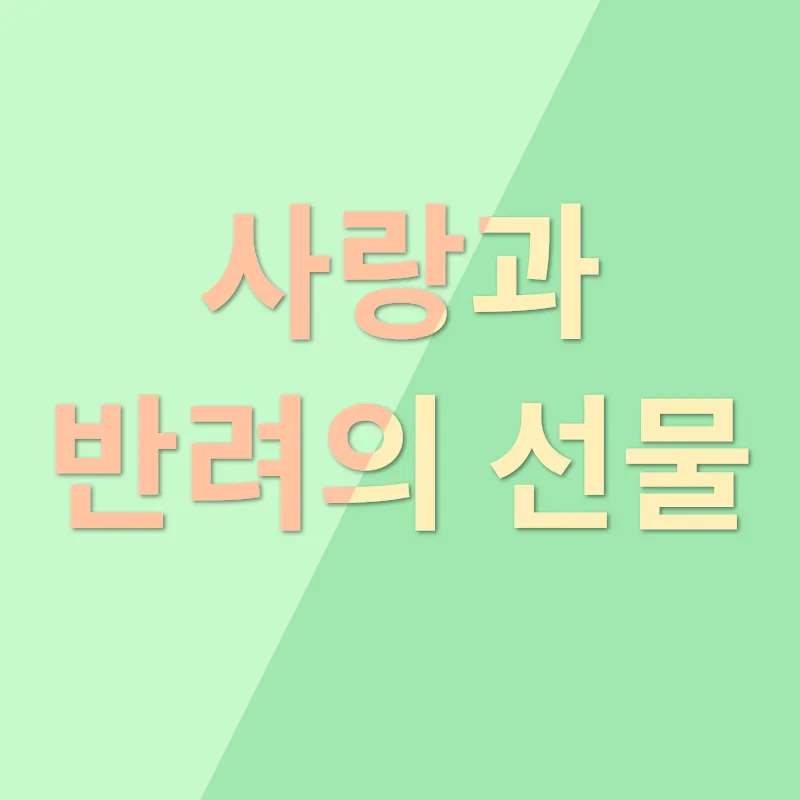 애완동물 키우기_1